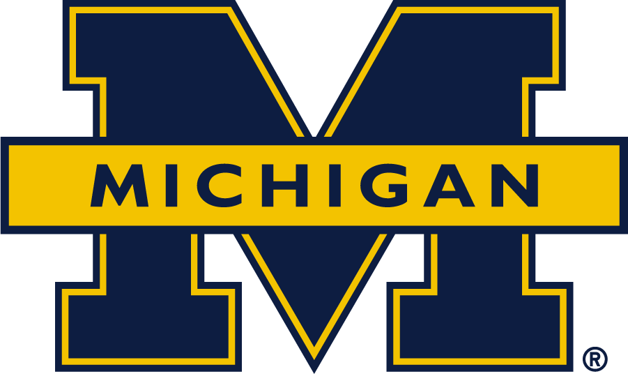 Michigan Wolverines 2016-Pres Secondary Logo v2 t shirts iron on transfers